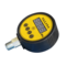 威斯克 智能压力开关表头 塑料头 1.6Mpa DTYL01B