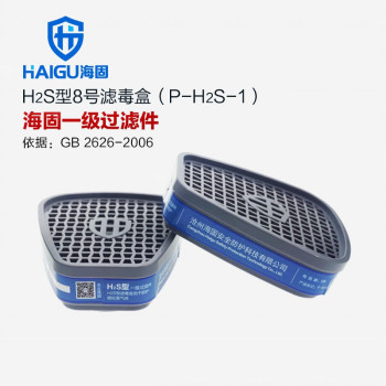 海固 H2S型8号二级滤毒罐 P-H2S-2 滤毒罐 防硫化氢气体