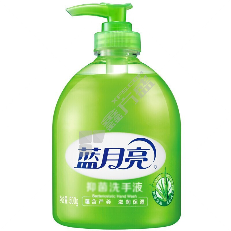 蓝月亮 芦荟抑菌洗手液 500ml