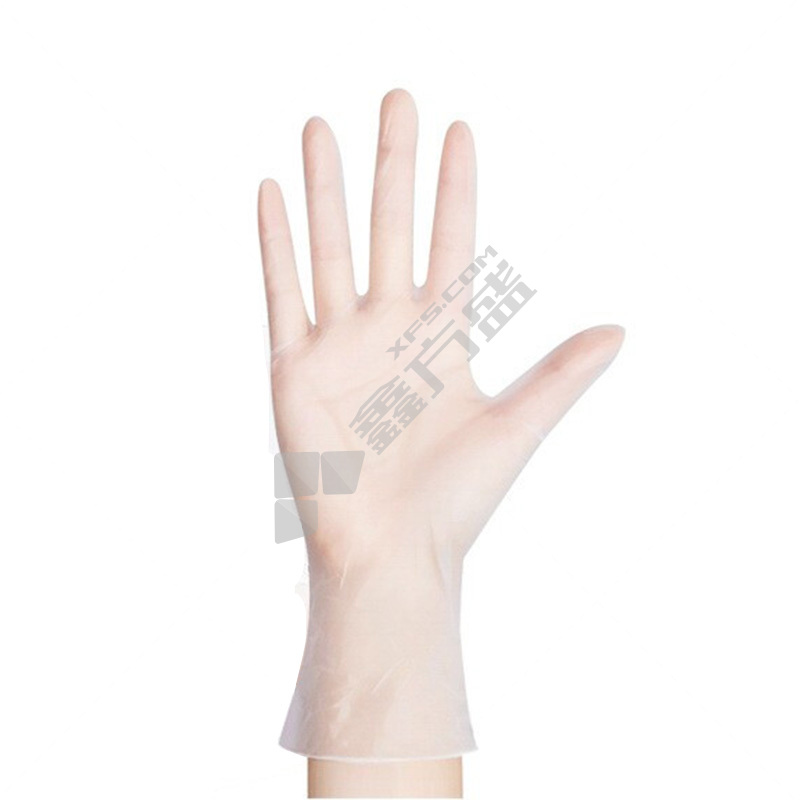赛立特 一次性白色乳胶手套DL6202 100只/盒 DL6202 9码