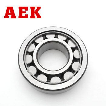 艾翌克 /AEK 美国进口圆柱滚子轴承N2系列 N205EM-C3