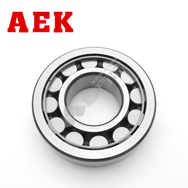 艾翌克 /AEK 美国进口圆柱滚子轴承NU26系列 NU260EM-C3