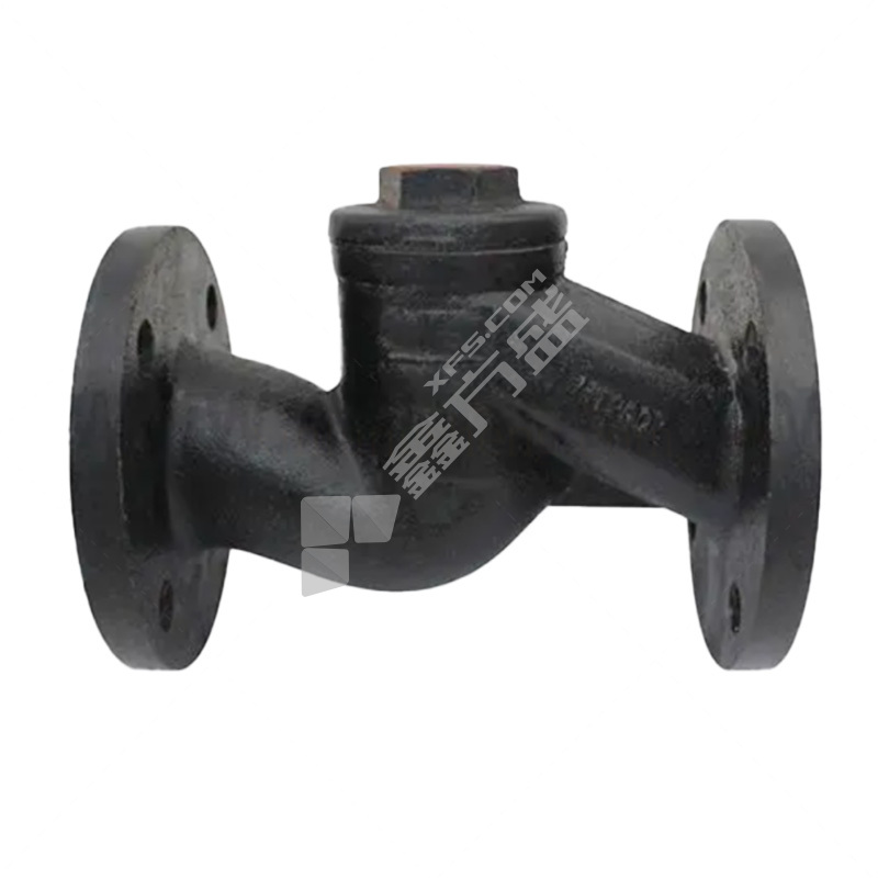 军康 铸铁铜密封止回阀