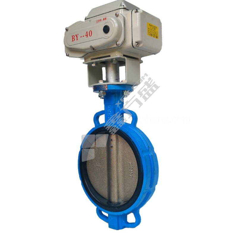 信泰 铸铁电动对夹式蝶阀