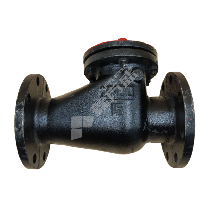 信泰 铸铁旋启式止回阀