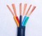 电缆 NH-YJV-0.6/1.0kV，2X2.5