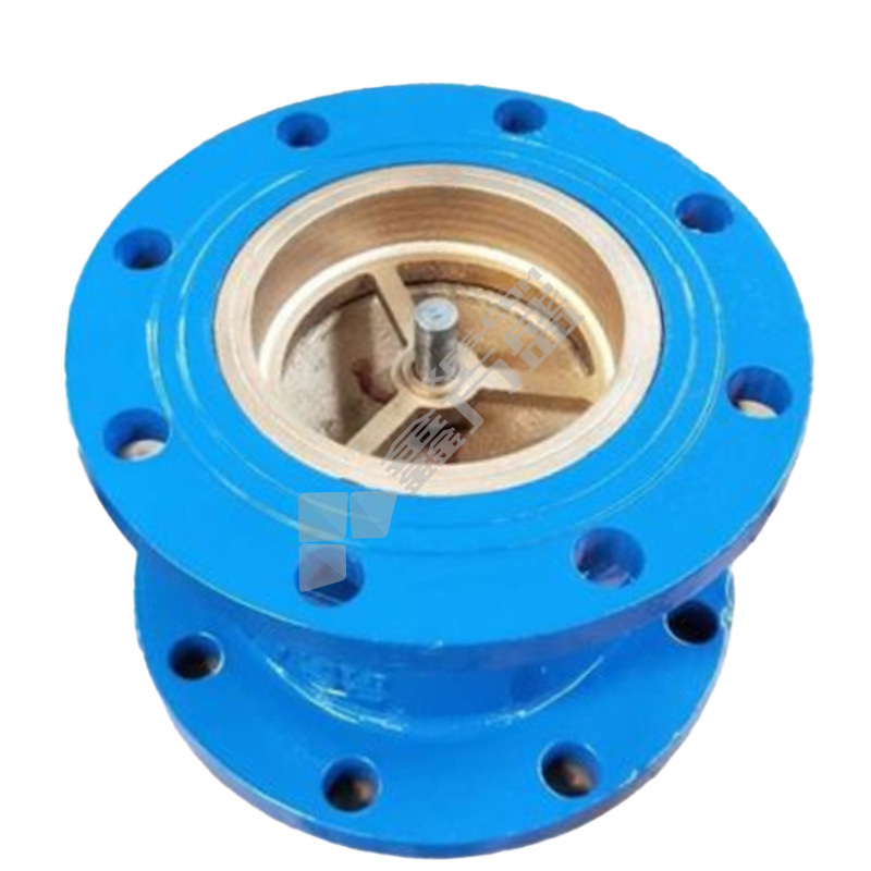 军康 铸铁止回阀 HC41X-16Q