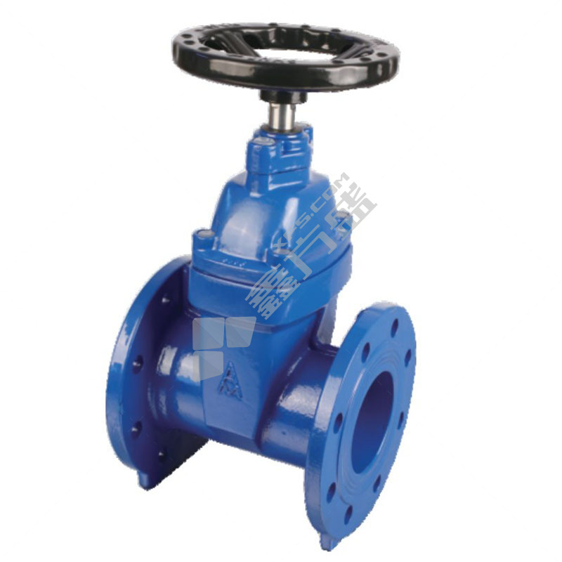 AMICO 9161 cast iron flange elastic seal hidden stem gate valve