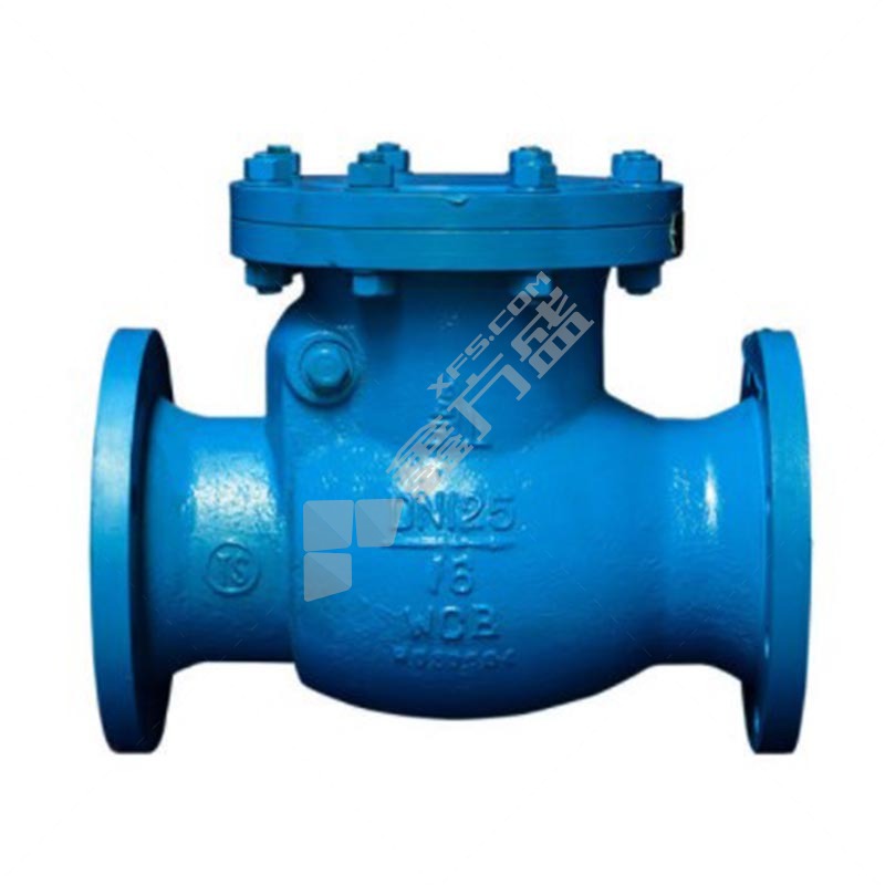Alpine cast iron flange check valve H44H
