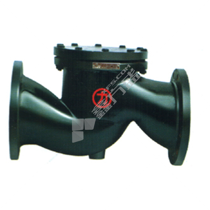 Large station lifting flange check valve H41T-16