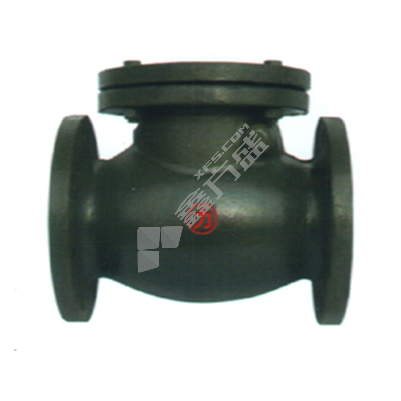 大站 旋启式止回阀 H44W-16