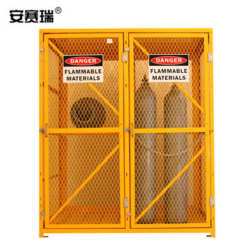 安赛瑞 39449 气瓶储存柜 1524*762*1651mm 双门 39449