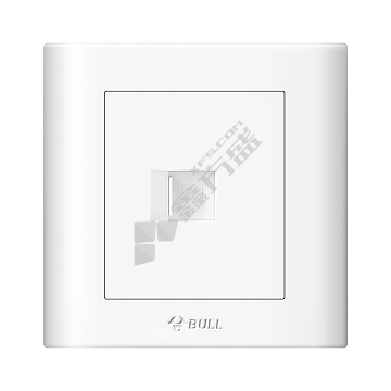 公牛BULL 一位电脑插座 G32T102/白色