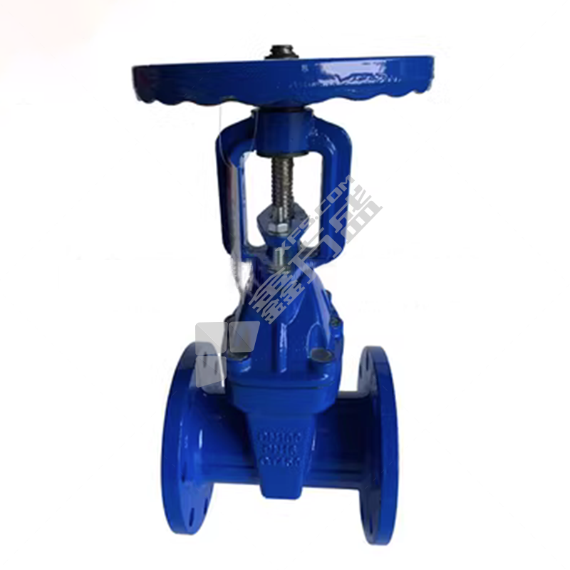 上海良工 铸铁法兰弹性座封明杆闸阀