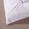 伊伊爱 交织棉床褥垫床上用品床垫 D02000163 150*200cm 白色