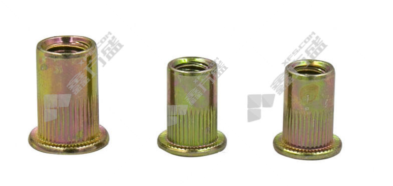 剑力 平头竖纹拉铆螺母 M10 GB17880.1 碳钢 4级 镀彩锌 100个/包