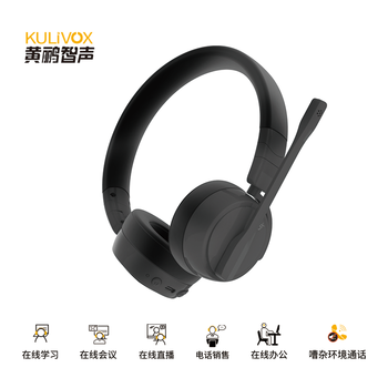 黄鹂智声 G200b 头戴式蓝牙通话降噪耳机 黑色 蓝牙 G200b