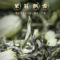 福茗源 P00520 茉莉花茶袋装 250g