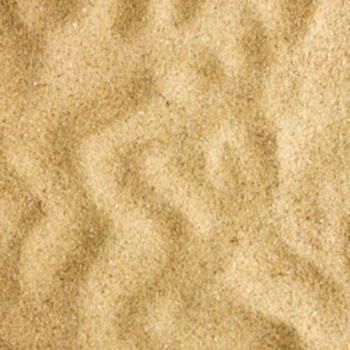 沙子