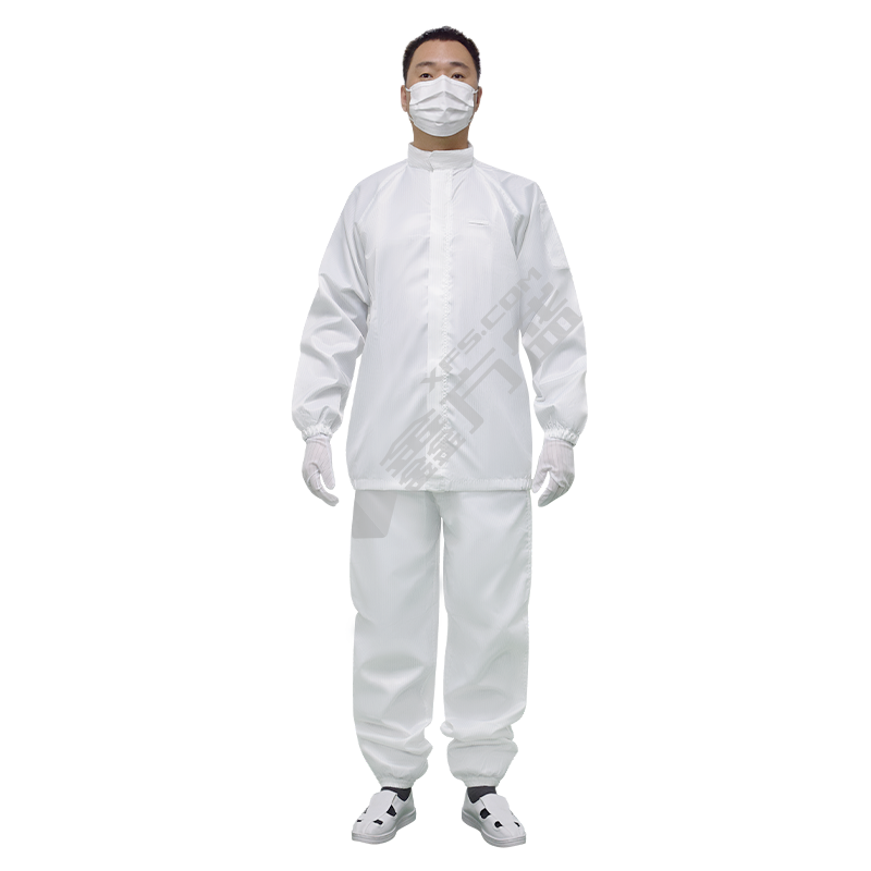 康惠洁 立领 防静电分体工作服 L码 白