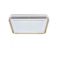 光向标 雷霆T系列 LED卧室灯 吸顶灯 白金 TW08 96W-方 96W 三色变光 500x500mm 220V 白金