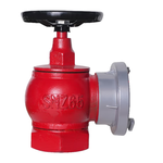 大地 旋转型 国标室内消火栓 1.6Mpa SNZ65 200MM