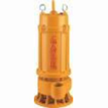 人民水泵 上海人民 无堵塞污水泵 B款 220V 50WQD10-10-0.75KW-220V（丝口） /