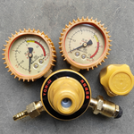 沪洋 经济型丙烷减压器 YQE-02