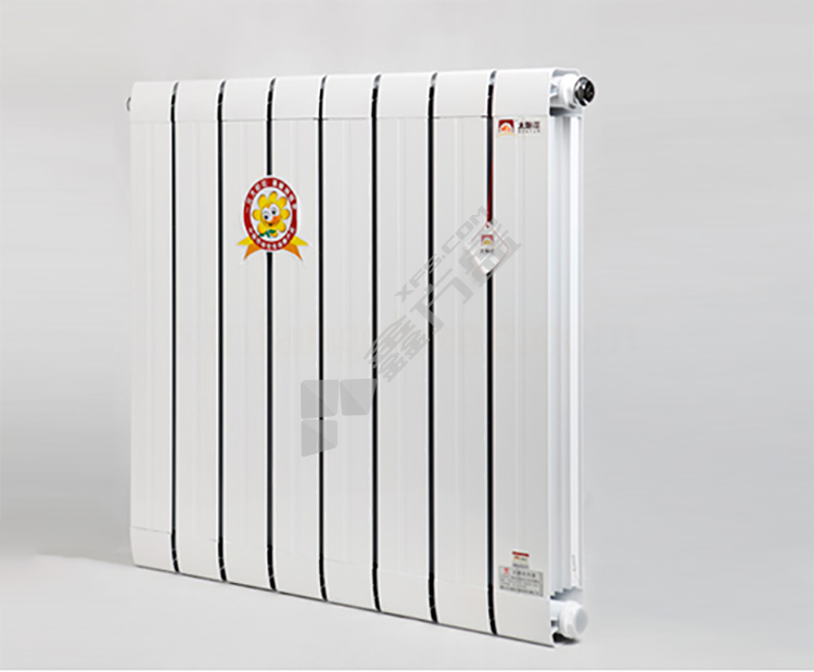 太阳花 GPA300-250X散热器 6片-DN15