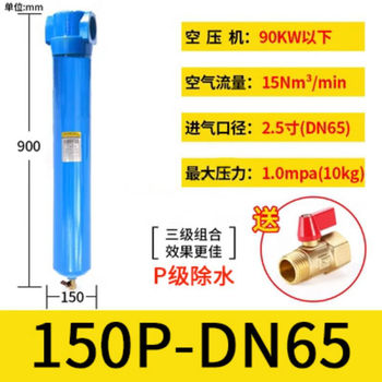 QPSC级精密过滤器 150P-DN65 DN65(2.5寸) DN15=4分