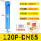 QPSC级精密过滤器 120P-DN65 DN65(2.5寸) DN15=4分