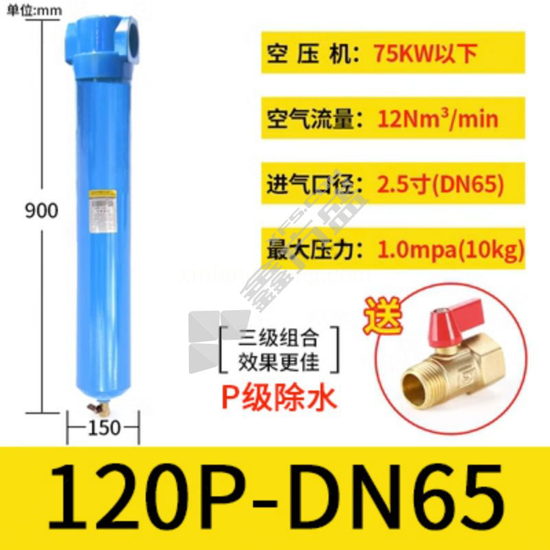 QPSC级精密过滤器 120P-DN65 DN65(2.5寸) DN15=4分