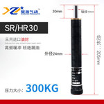 HR油压缓冲器 SR/HR30-300KG 30mm