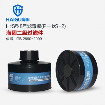 海固 P-H2S-2 H2S型8号二级滤毒罐 P-H2S-2 黑色