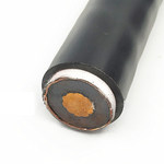 国友 WDZCN-YJY63 低压低烟无卤阻燃耐火铠装电力电缆 0.6/1kV 1*400平方