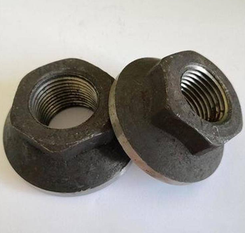 钢筋锚固板 Φ12