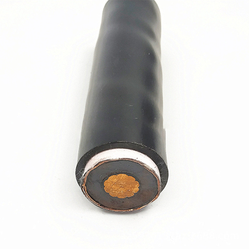 国友 ZCN-YJV62 低压阻燃耐火铠装电力电缆 0.6/1kV 1*10平方