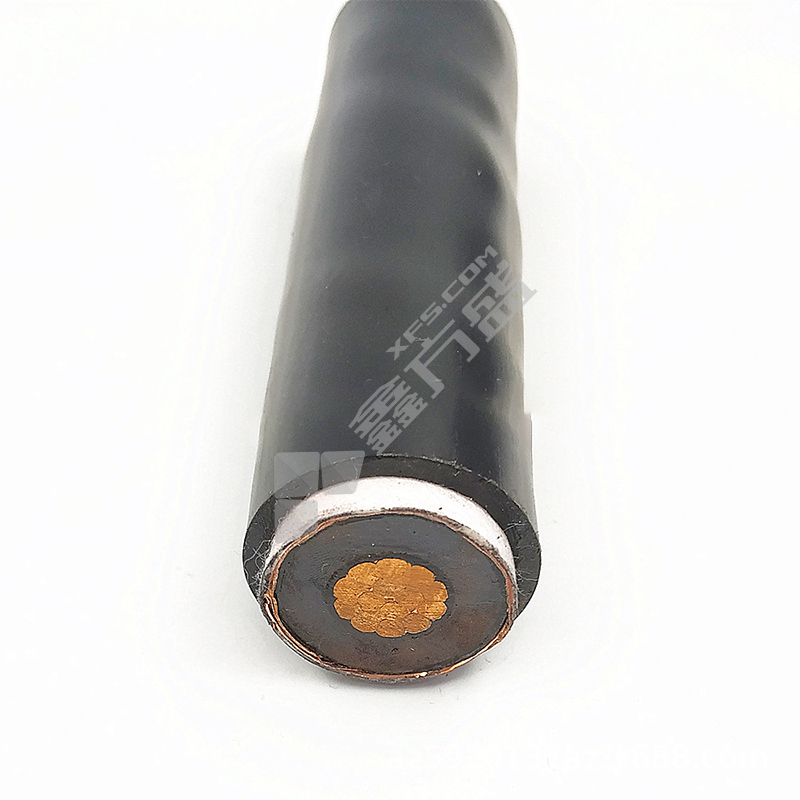 国友 ZCN-YJV62 低压阻燃耐火铠装电力电缆 0.6/1kV 1*25平方