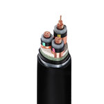 国友 ZCN-YJV22 低压阻燃耐火铠装电力电缆 0.6/1kV 4*25+1*16平方