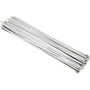長虹塑料 CHS 長虹塑料 CHS 扎帶 4.6MM*550MM/黑色