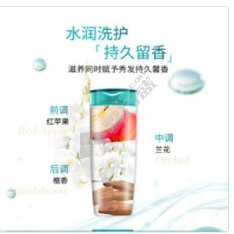 透明质酸水润去屑 洗发水 200ml （控油去屑无硅油洗发露）