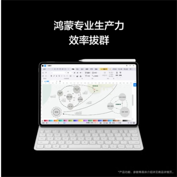 11英寸2024款华为平板电脑OLED2.5K全面屏 星闪技术办公学生学习8+256GB WIFI 曜金黑