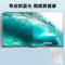 TCL 65G60E 人工智能语音声控电视 65G60E 三级能效 65吋
