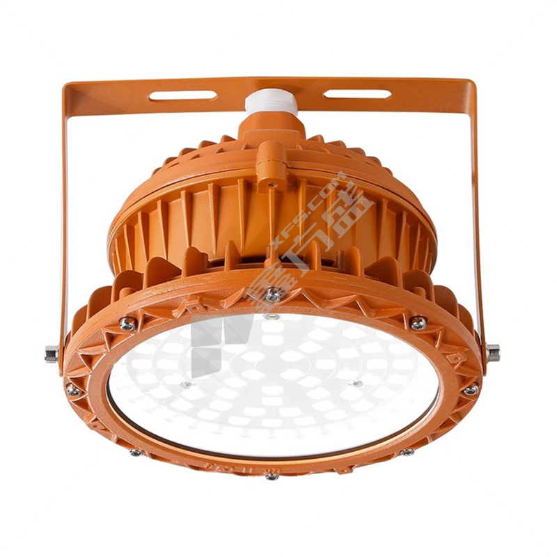 飞德朗 防爆三防吊顶工厂灯 FDL-SFTD-300W 300W