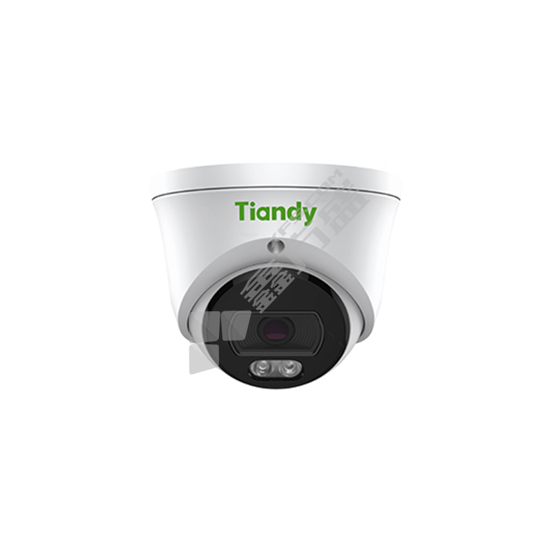 天地伟业 TC-C14XN 400万POE音频半球式摄像机 I3W/E/Y/DC12/2.8mm/V5.3