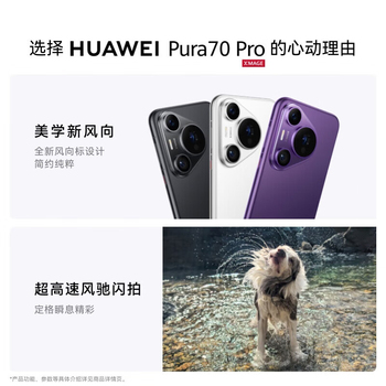 华为 Pura70 Pro 智能手机 12GB 1TB 雪域白 6.8英寸 Pura70 Pro