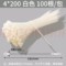 尼龍?jiān)鷰?4.6*120mm/白色