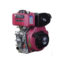 中铮 柴油发电机 ZZ173CF 3.3kW 电启动