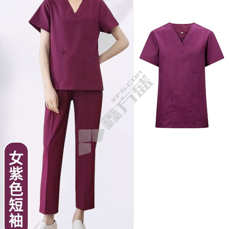 百舸 女士短袖手术服 L BG-ST-8913 紫色