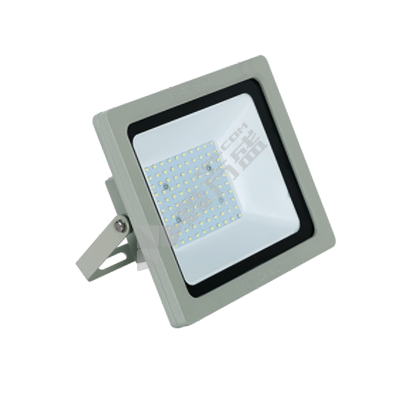 东君 自电自控 新国标款常亮防爆投光灯 DJ-09A 50W 6500K AC220V IP65